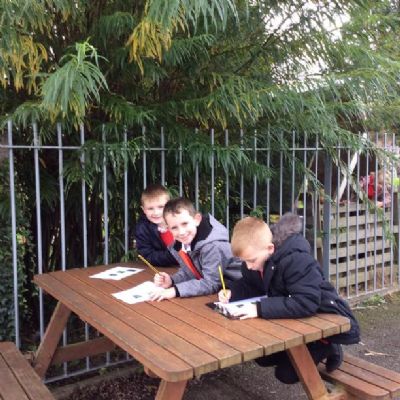 LOWER JUNIOR WOODLAND QUIZ