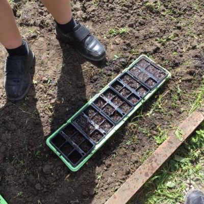 We worked together to weed and rake the ground.