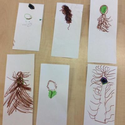 Reception have been researching birds.