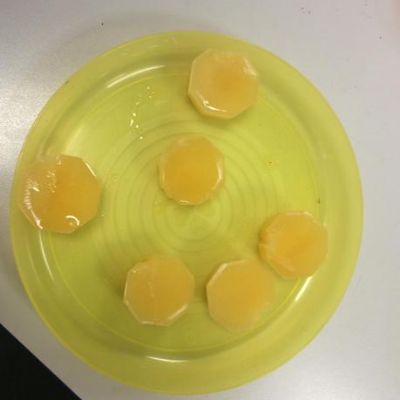Year 3 compared ice and other frozen liquids.