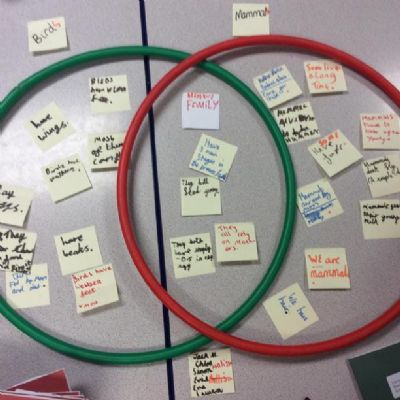 Grouping and Classifying