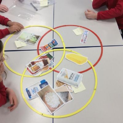Cedar Class began their States of Matter topic by grouping and classifying a range of items into solids, liquids and gases.