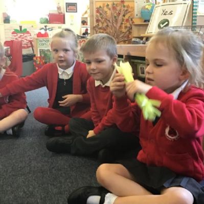 Harvest food tasting and exploring our senses