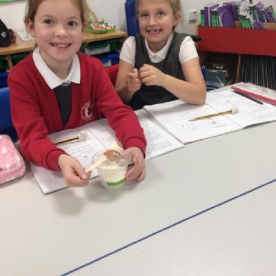 We examined the effects of the liquids on the egg shells.