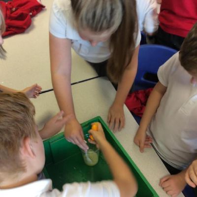 Roald Dahl Day! Observing and discussing changes.