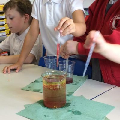Roald Dahl Rainbow Rain Experiments