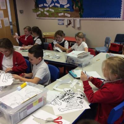 Using our new knowledge of the skeleton, we created a split pin paper version.