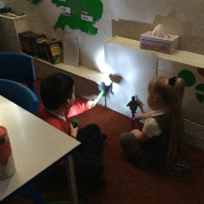 We linked Science with English and made shadow puppets to recreate the fable ‘The Ostrich and the Penguin’.