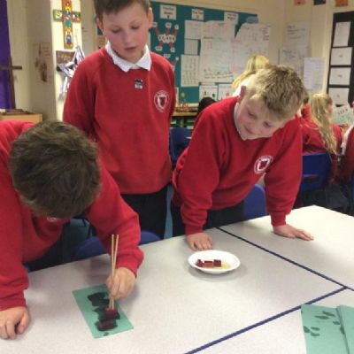 We investigated forces by carrying out some hands on activities.