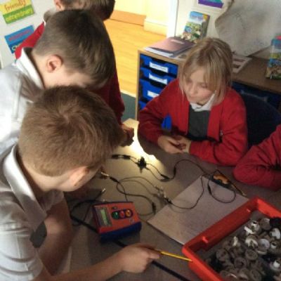 We predicted that the more lamps we added to our electrical circuit, the dimmer the bulbs would be.
