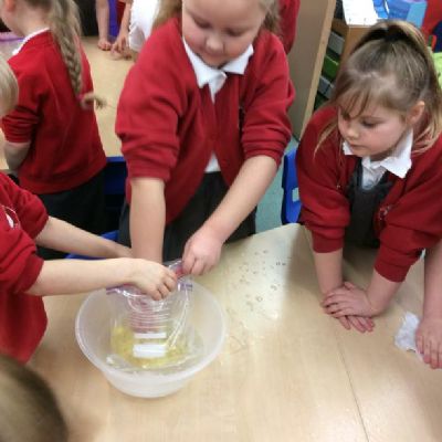 We carried out an experiment to find out how polar bears stay warm in the icy water.
