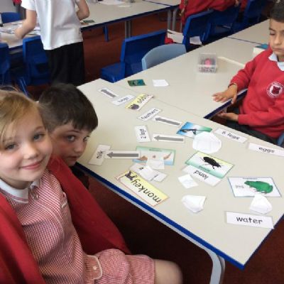 We explored concept mapping using our knowledge of animals.