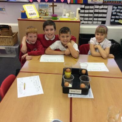 Class 8 are completing an investigation on how different liquids can effect our teeth.
