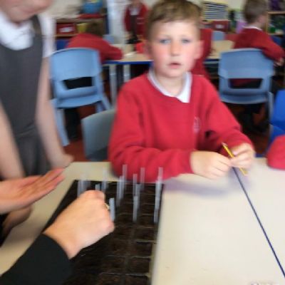 We are taking part in a nationwide rocket seed experiment and class 6 were responsible for planting 200 individual rocket seeds!