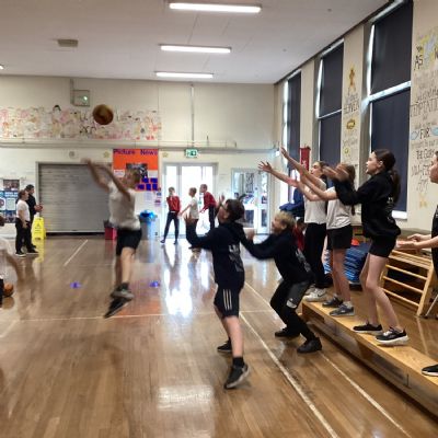 Bench Ball
