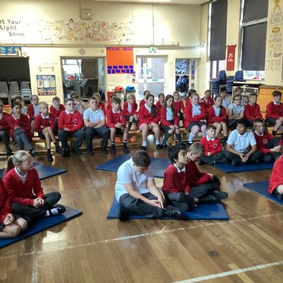 PALS Training