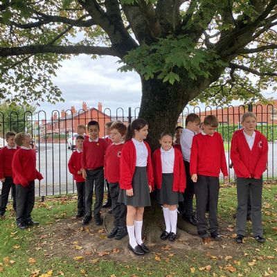 Appreciating the outdoors - listening and looking