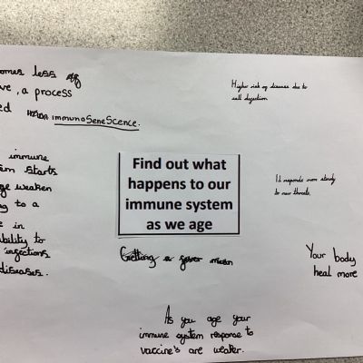 Lesson 4- what happens when we age?