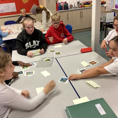 Grouping and Classifying