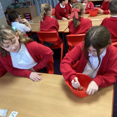 The Digestion System