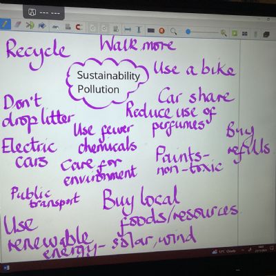 Chestnut class learnt about pollution. We pledged to try to walk more instead of travelling by car.