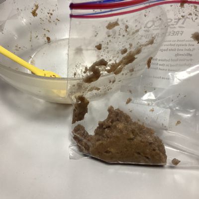 The Digestive System