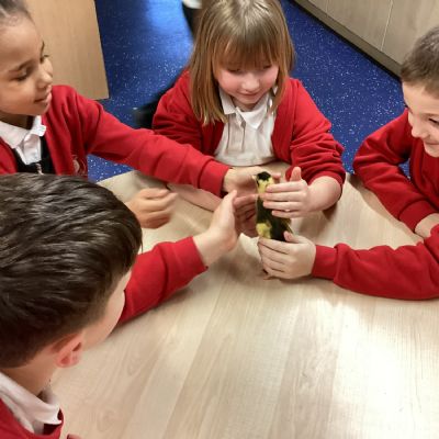 Duckling - New Life!