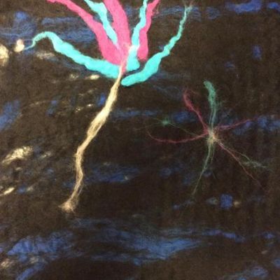 43d4a562962c46d496aa83acc92535ce1x1