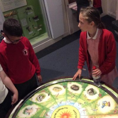World Museum Trip
